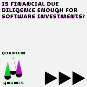 Is financial due diligence enough for software investments