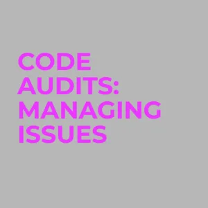 Managing Software Issues After Code Audit